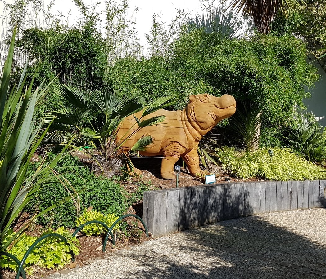Square de la Jungle 3